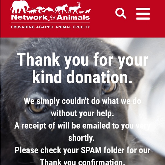 Meet your Posher, Tolú! - Picture 9 of 9